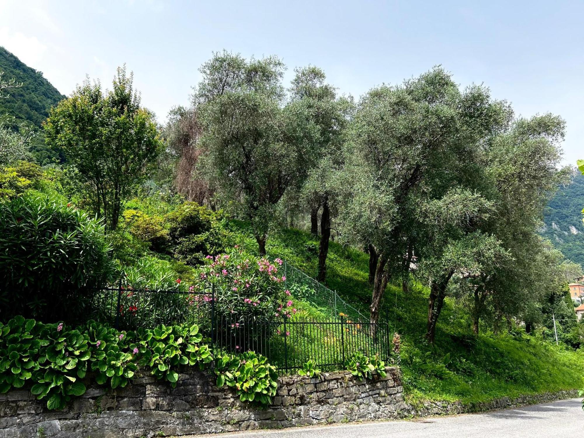 Lakeview Bellagio Apartment Limonta Экстерьер фото